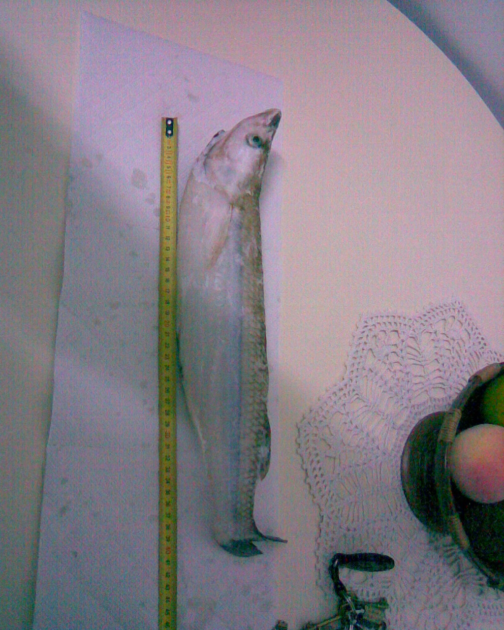 fotos/0000-00-00 - Infancia/Imagen059.jpg